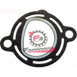 653.100705320 GUARNIZIONE SCARICO APE MP601/TM703