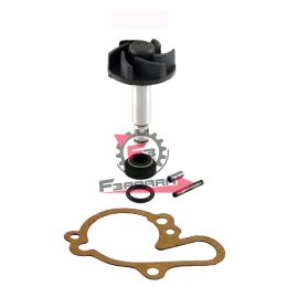 100110080 KIT POMPA H2O MINARELLI AM345/6