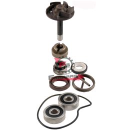100110220 KIT POMPA H2O BEVERLY 250 04/05