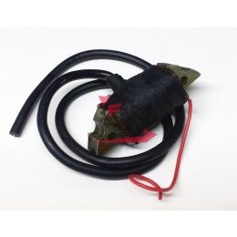 701.001070 BOBINA A.T. INTERNA CEV DINGO 48