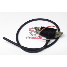 701.001637 BOBINA A.T. INTERNA DUCATI