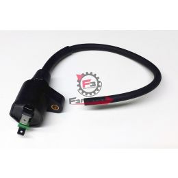 701.168191 BOBINA HONDA/PEUGEOT 0,30 OHM