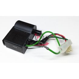 701.32895414 CENTRALINA MALAGUTI F10/F12 DUCATI