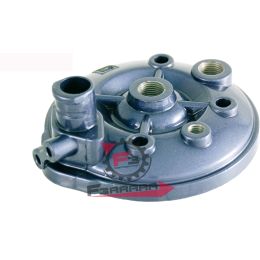653.100070071 TESTA CILINDRO MINARELLI AM6 EU1