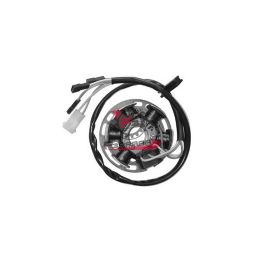 701.168013 STATORE VOLANO DERBI SENDA 50