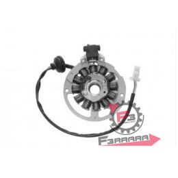 701.31142012 STATORE MALAGUTI F12 12 POLI