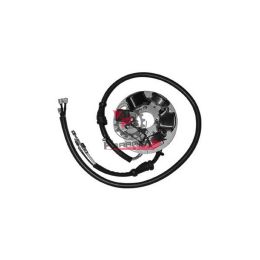 701.317310 STATORE DUCATI VESPA 125 ET3 186974