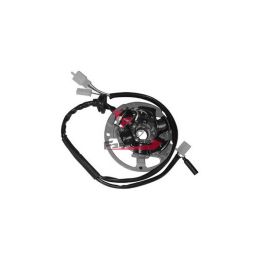 701.3196744 STATORE DUCATI CON PIASTRA COMPLETO