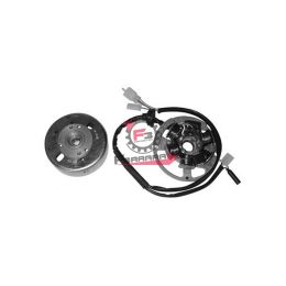 701.3196844 VOLANO MALAGUTI F10-F12 COMPLETO