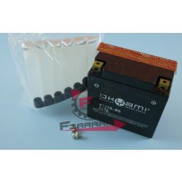 201.E07050 BATTERIA YTZ7S-BS OKYAMI