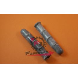 COPRILEVE R GRIGIE (CP)