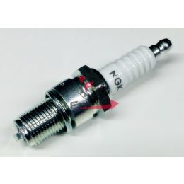 201.N0717080 CANDELA B8EG NGK (C)