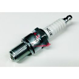 201.N0719090 CANDELA B9EGV NGK (C)