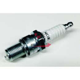 201.N0719100 CANDELA B10EGV NGK (C)