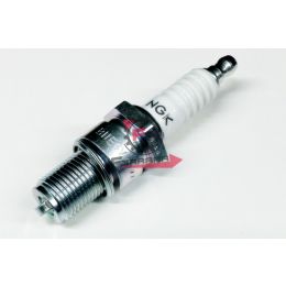 201.N0719110 CANDELA B11EGV NGK (C)