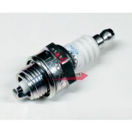 N2001070 CANDELA BPMR7A NGK (4626 B)