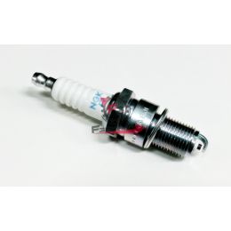 N2131070 CANDELA BPR7ES NGK (2023 A)