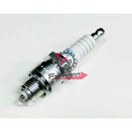 201.N2147070 CANDELA BPR7HS NGK (C)