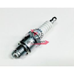 201.N2147080 CANDELA BPR8HS NGK (B)