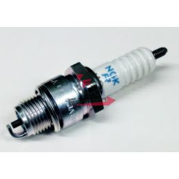 201.N2448080 CANDELA BR8HSA NGK (B)