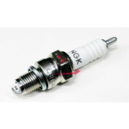 201.N3648080 CANDELA C8HSA NGK (6821 C)