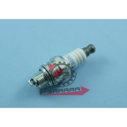 201.N6601060 CANDELA CMR6A NGK (1223 B)