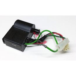 653.246010030 CENTRALINA MALAGUTI F12/F15 02403300