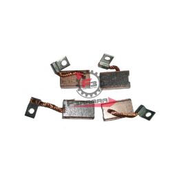 201.E002201 SPAZZOLE DINAMO APE MP-TM (SR)