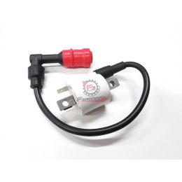 BOBINA ALTA TENSIONE APE CALESSINO 200 2013-2019 ORIGINALE PIAGGIO  EX 1A001794
