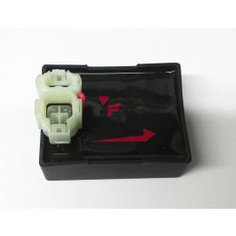 209.40150154 CENTRALINA MOTORI CINESI 50 4T