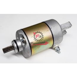 653.246390190 MOTORINO AVVIAMENTO LEONARDO 250