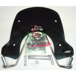 252.29000 CUPOLINO VESPA GTS FUME' NEWLINE