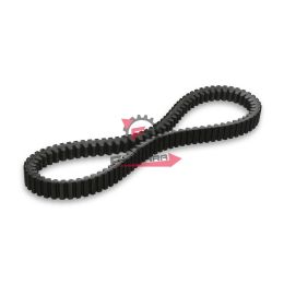 CINGHIA GILERA GP800 MALOSSI