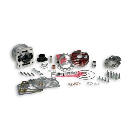 453.3115883 KIT CILINDRO PIAGGIO 52 H2O T/ROSSA