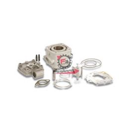 KIT CILINDRO 36 MINI MOTO MALOSSI