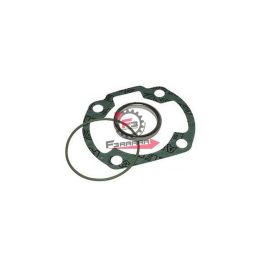 453.1111205 GUARNIZIONI CILINDRO 47 KYMCO (SR)