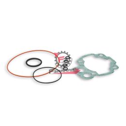 1112449 GUARNIZIONI MINARELLI 50 AM3>6 (SR)