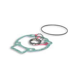 118762 GUARNIZIONI PIAGGIO TYPHOON 125 65