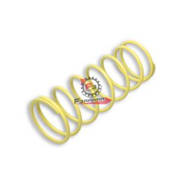 453.2911074Y0 MOLLA VARIATORE HONDA 125 (FG)