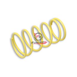 453.2911429Y0 MOLLA VARIATORE SUZUKI BURGMAN 400