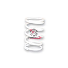 453.2913003W0 MOLLA VARIATORE PIAGGIO 500