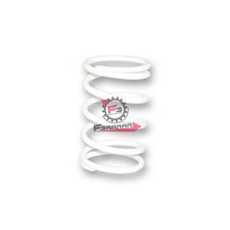 453.2914203W0 MOLLA VARIATORE SUZUKI BURGMAN 125