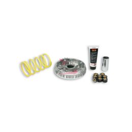 453.5111225 VARIATORE YAMAHA MAJESTY MADISON 250