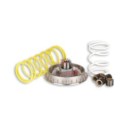 VARIATORE HONDA FORESIGHT250 MALOSSI