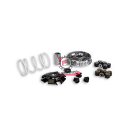 VARIATORE PIAGGIO HEXAGON 125 MALOSS