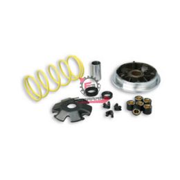 453.5111298 VARIATORE SUZUKI KATANA 99-HABANA 50