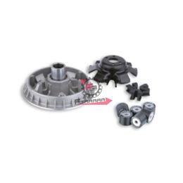 VARIATORE SUZUKI BURGMAN 250 MALOSSI