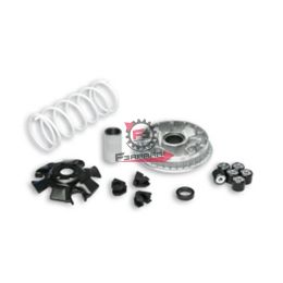 VARIATORE SUZUKI EPICURO 125 MALOSSI