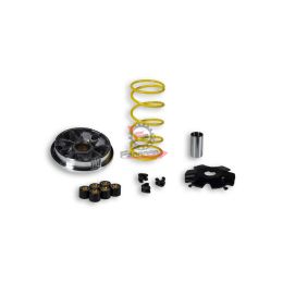 VARIATORE MALAGUTI F12 100 MALOSSI