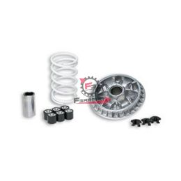453.5111808 VARIATORE PIAGGIO NEXUS 500 6RULLI